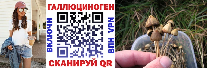 мега как зайти  Судак  Псилоцибиновые грибы Magic Shrooms 